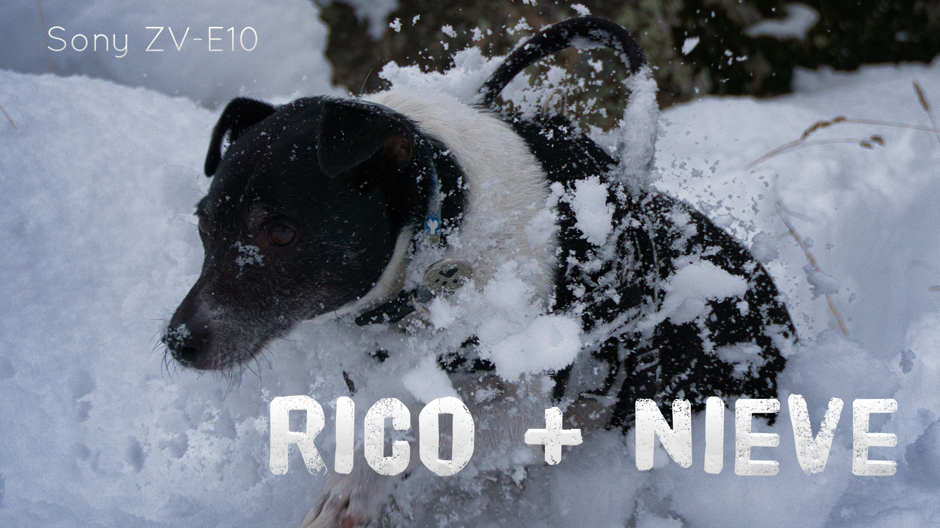 Vídeo: Rico + Nieve